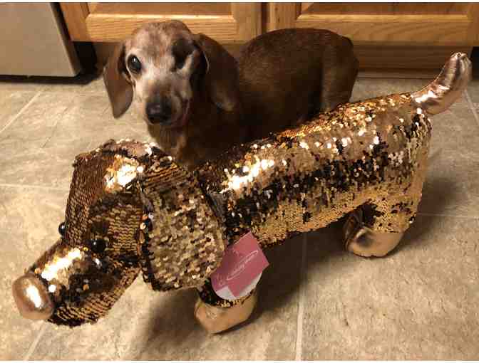 Sequin Dachshund