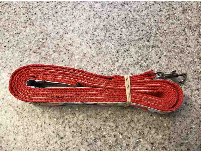Dachshund Leash