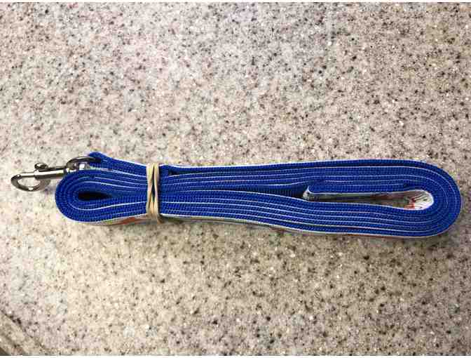 Dachshund Leash with matching Key Chain