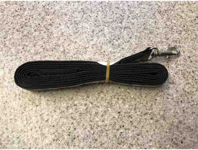 Dog Leash with matching Dog Collar
