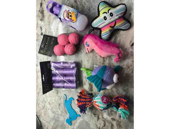 Summer Aqua Pup Pack