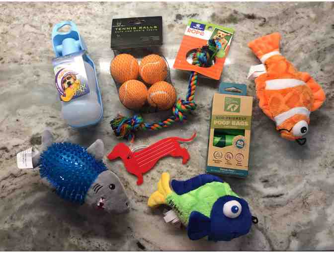 Summertime Gray Pup Pack