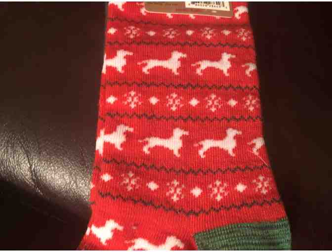 2 pair of dachshund socks