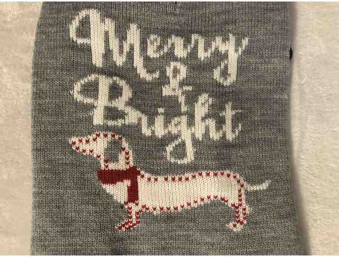 Merry & Bright Dog Sweater-M