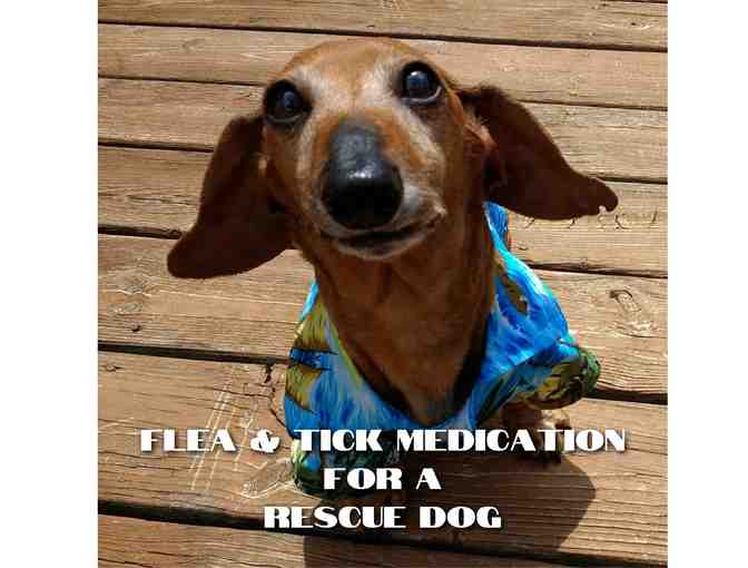 Flea and Tick Medication for a Rescue Dog - Photo 1