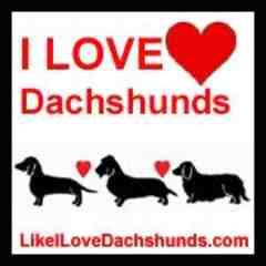 I Love Dachshunds Shop