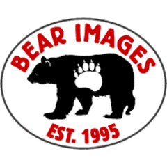 Bear Images