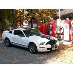 Beech Hill Automotive