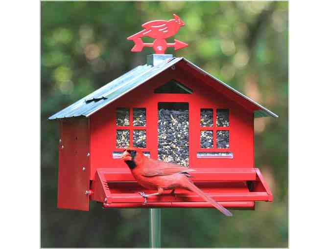 Squirrel-Be-Gone II Country Style Bird Feeder
