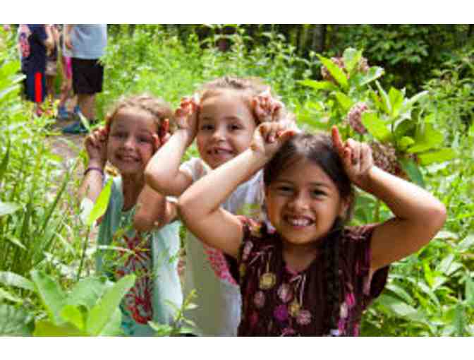 FUND A NEED: YOUNG NATURALIST SUMMER PROGRAM SCHOLARSHIP DONATIONS