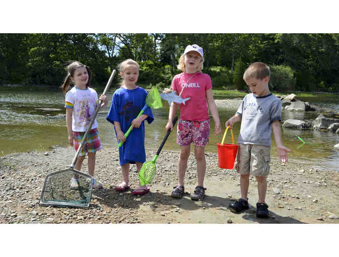 FUND A NEED: YOUNG NATURALIST SUMMER PROGRAM SCHOLARSHIP DONATIONS
