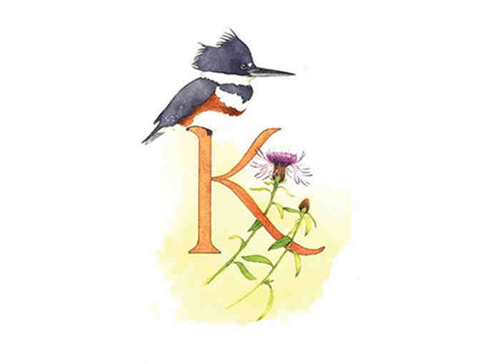 K IS FOR KINGFISHER