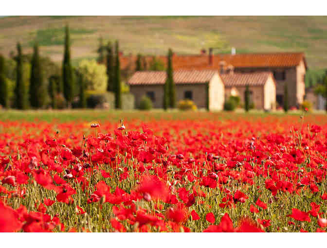 PLEASURES AND TREASURES OF TUSCANY FOR TWO - Photo 1