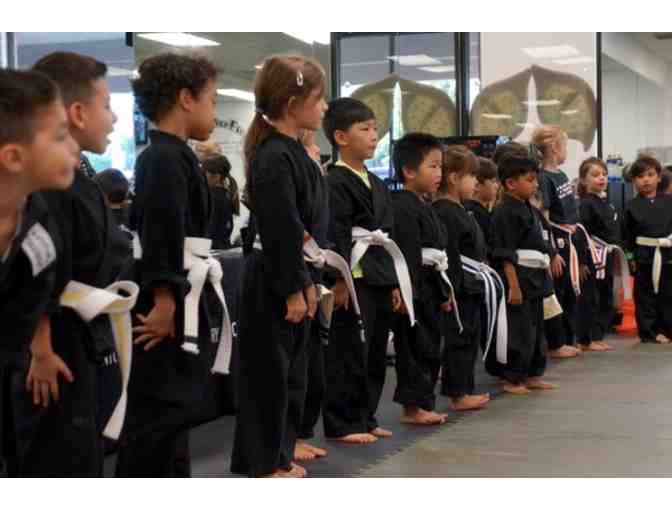 Xplosive Fit - One Month of Martial Arts