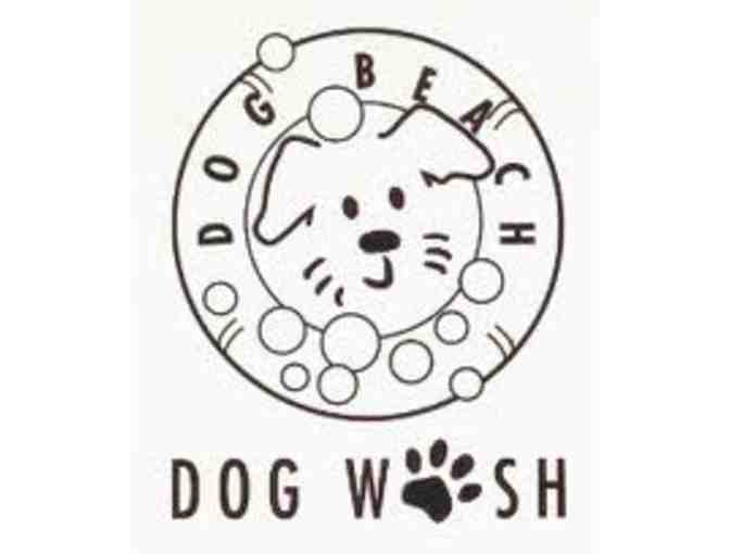 Dog Beach Dog Wash - 2 dog washes - Photo 1