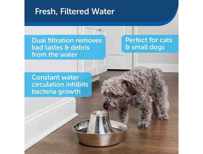 PetSafe Seaside Stainless Pet Fountain for Cats and Small Dogs