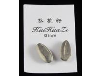 Ai Weiwei: A Pair of Sunflower Seeds