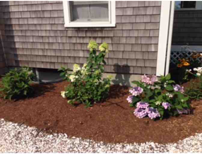 Tranquility in Truro