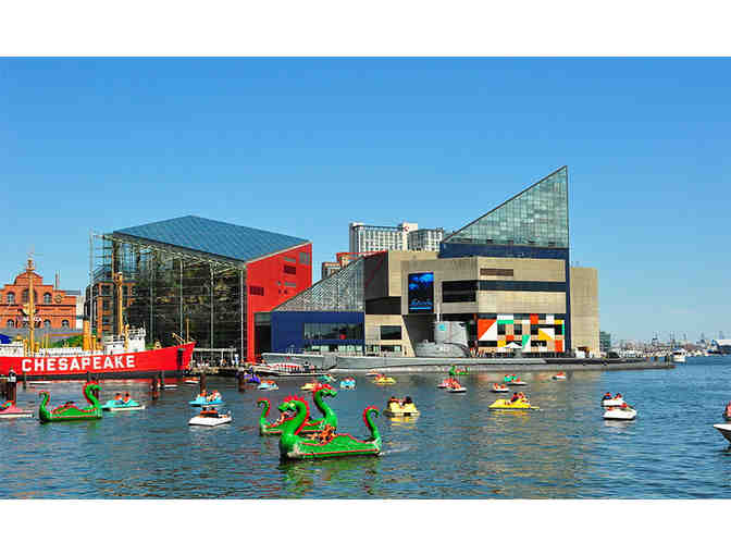New England Aquarium Admission Passes (2)