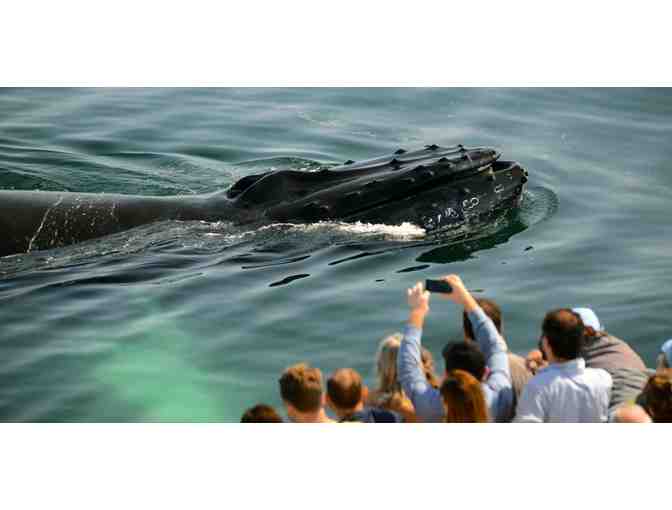 New England Aquarium Admission Passes (2)