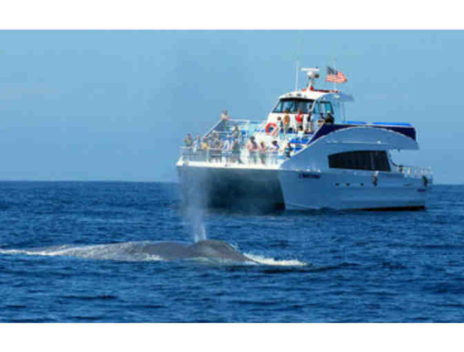 Aquarium of the Pacific Admission Passes and Harbor Breeze Cruise for Two