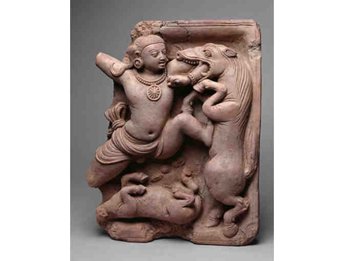 Two Complimentary Passes to the Metropolitan Museum of Art NYC New York City