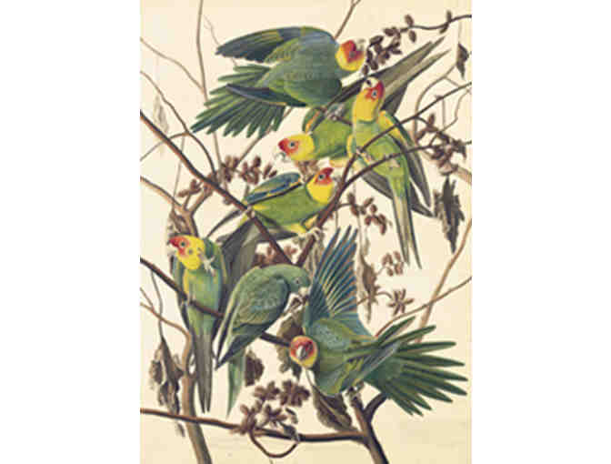 New York Historical Society - Membership