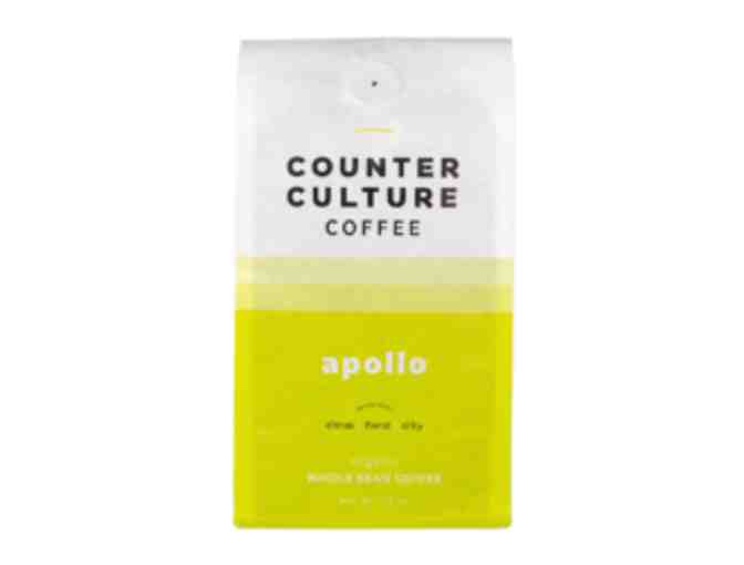 Counter Culture Coffee Bundle
