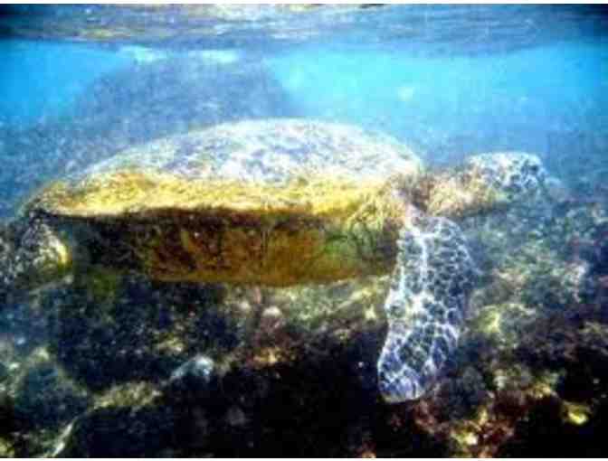 Glorious 7-day Worldmark Vacation