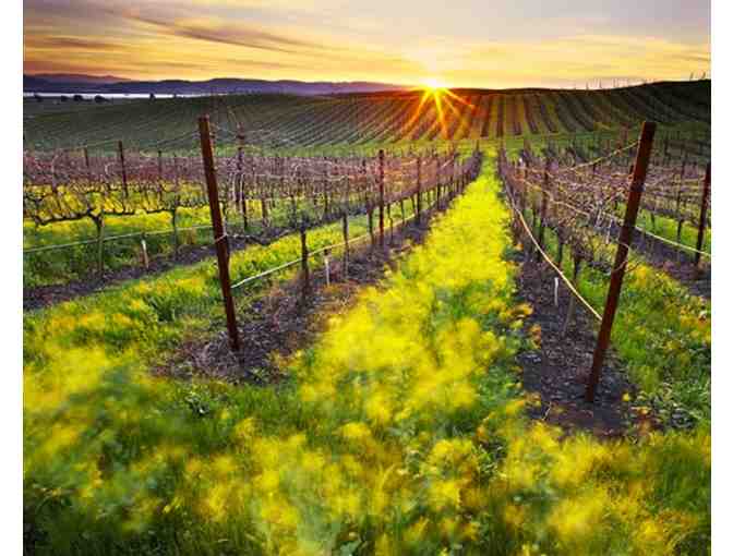 Stay in Napa Valley!