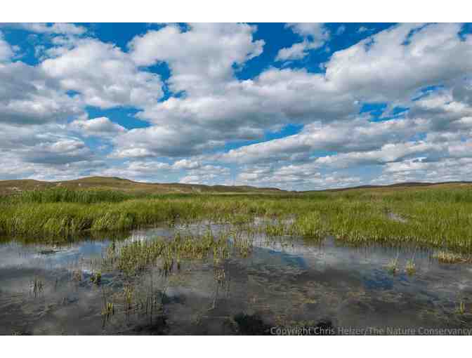 Nature Photograph Digital Image