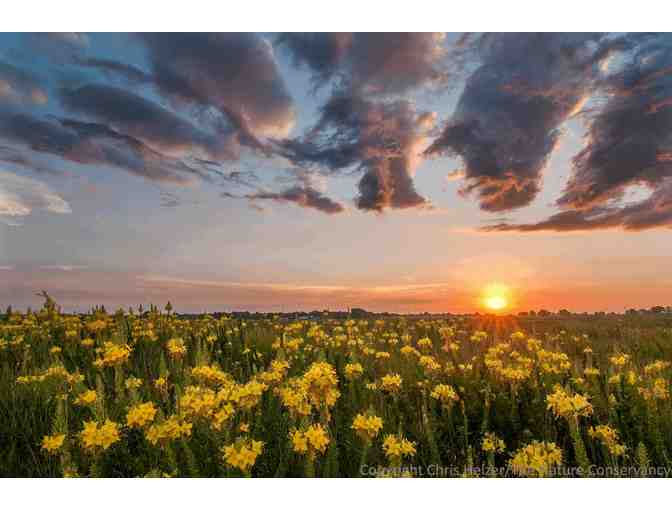 Nature Photograph Digital Image