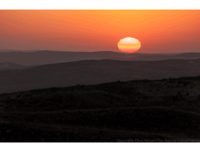 Nature Photograph Digital Image