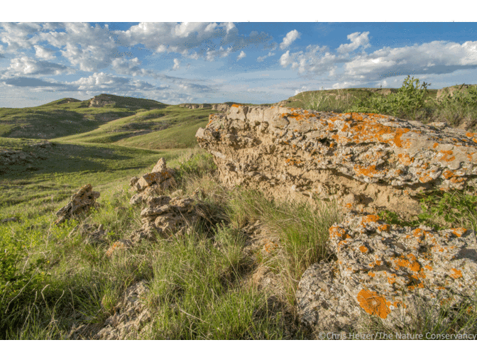 Nature Photograph Digital Image