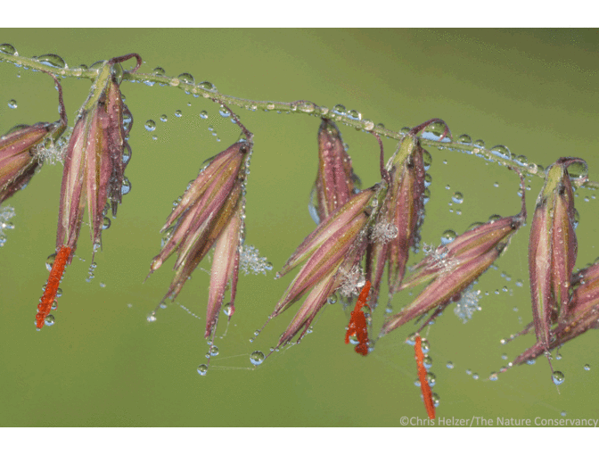 Nature Photograph Digital Image