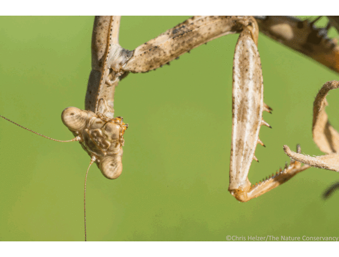 Nature Photograph Digital Image