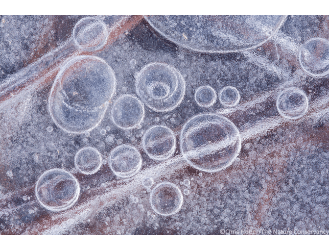 Nature Photograph Digital Image