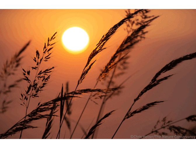 Nature Photograph Digital Image