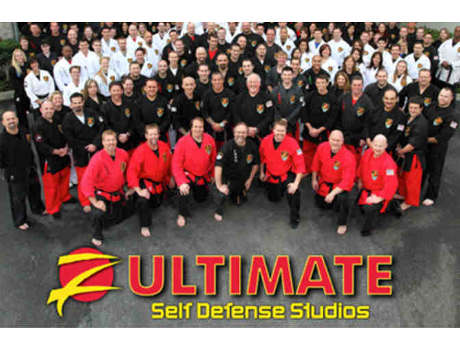 Z Ultimate Defense Studios 1 month lesson package