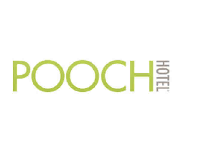 3 day/2 night stay at the Pooch Hotel