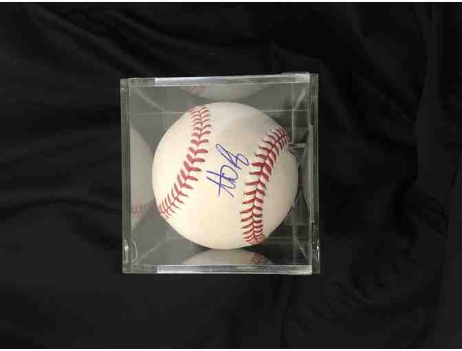 Autographed Baseball by 2016 Golden Glove, World Series Champion - Anthony Rizzo