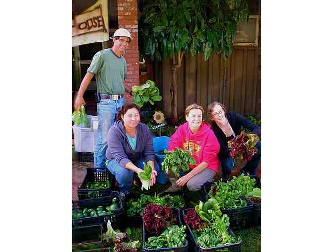 12 Weeks of Certified Organic Produce : Join The Farm!