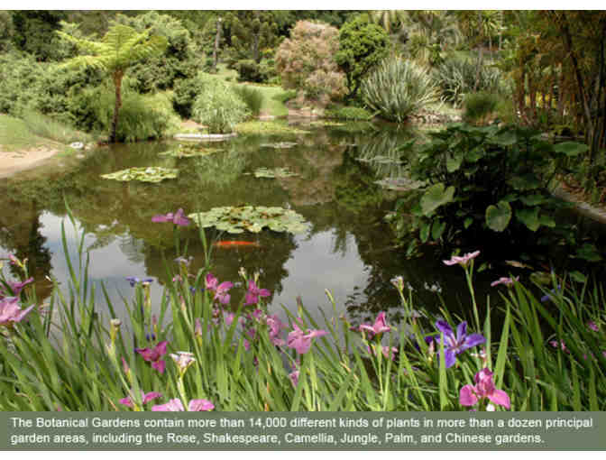 Huntington Library and Botanical Gardens - 2 Guest Passes