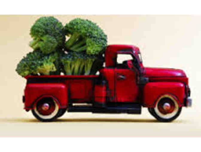 One HelloHarvest Little Bin