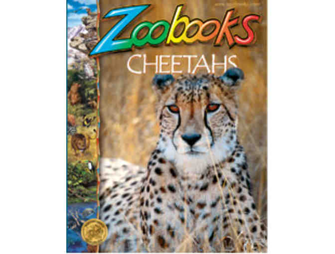 One year subscription to Zoobooks