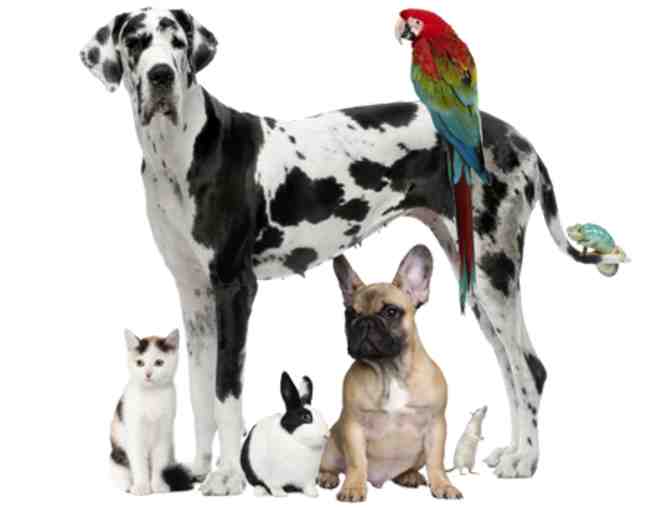 Healthy Pet $25 Gift Card