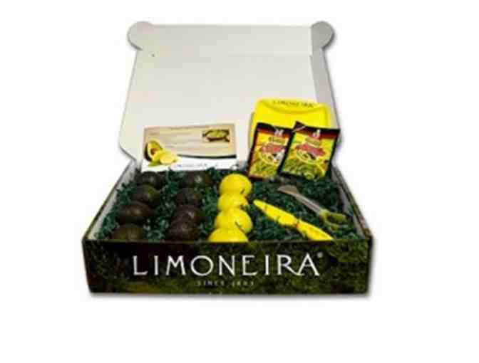 Lemon & Avocado gourmet packs