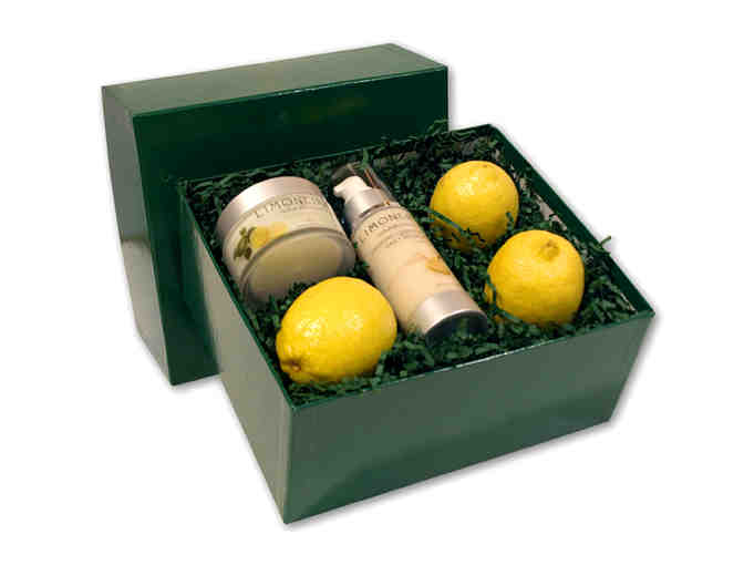 Lemon & Avocado gourmet packs