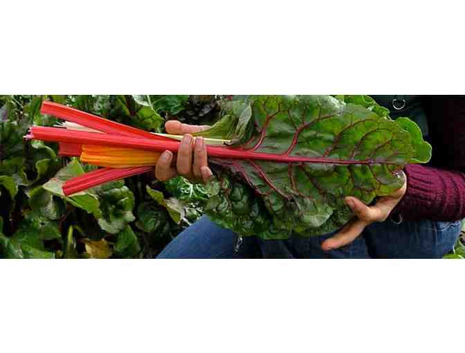 4 Weeks of Certified Organic Produce : The Abundant Table CSA!