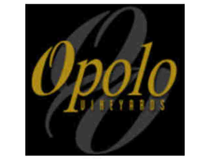 Opolo Vineyards - Red and White Wine Package